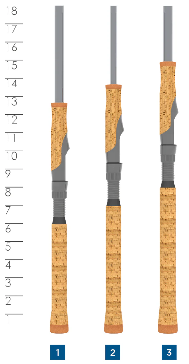 Avid Series - Image 6