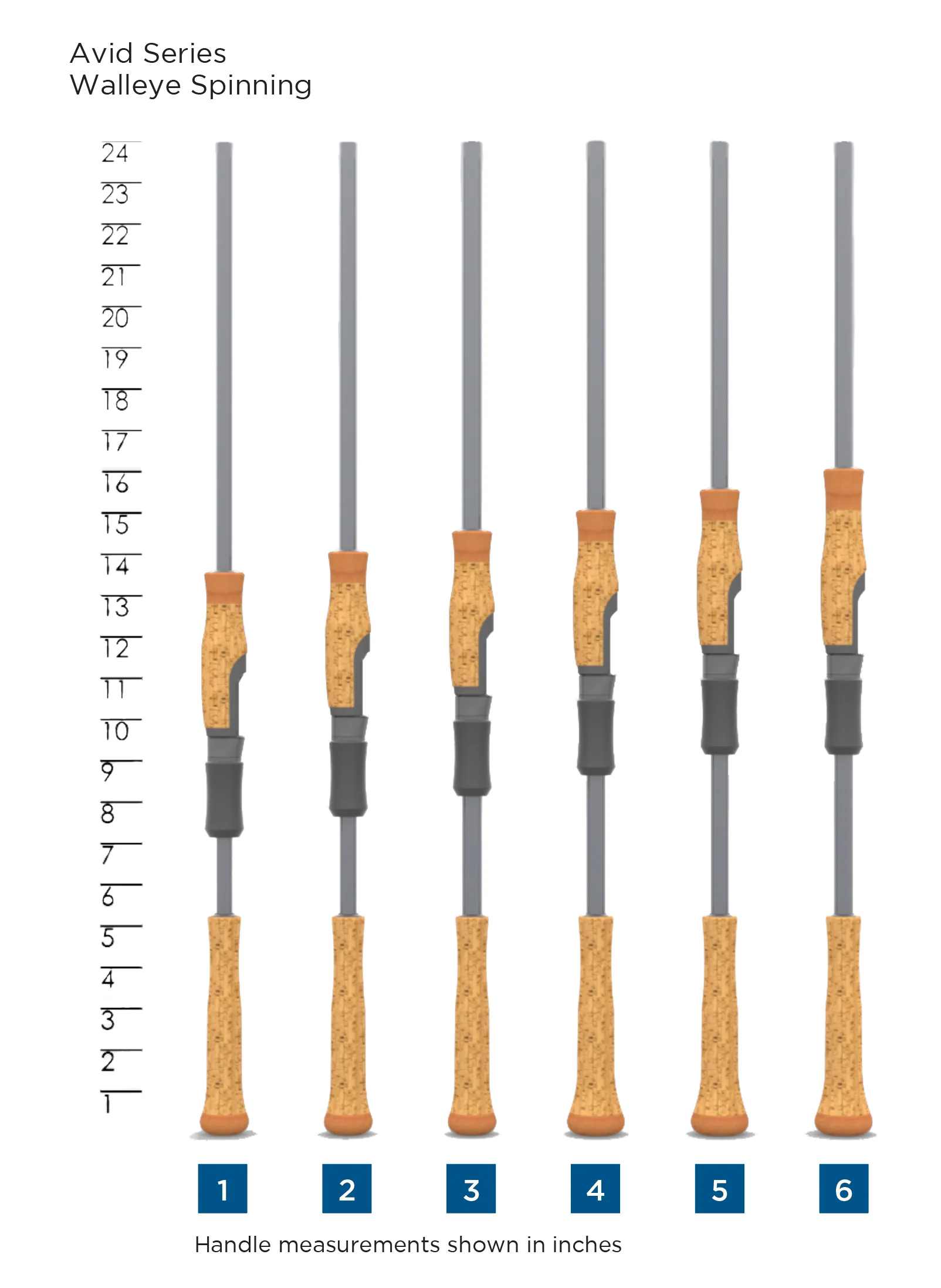 Avid Series Walleye - Image 3