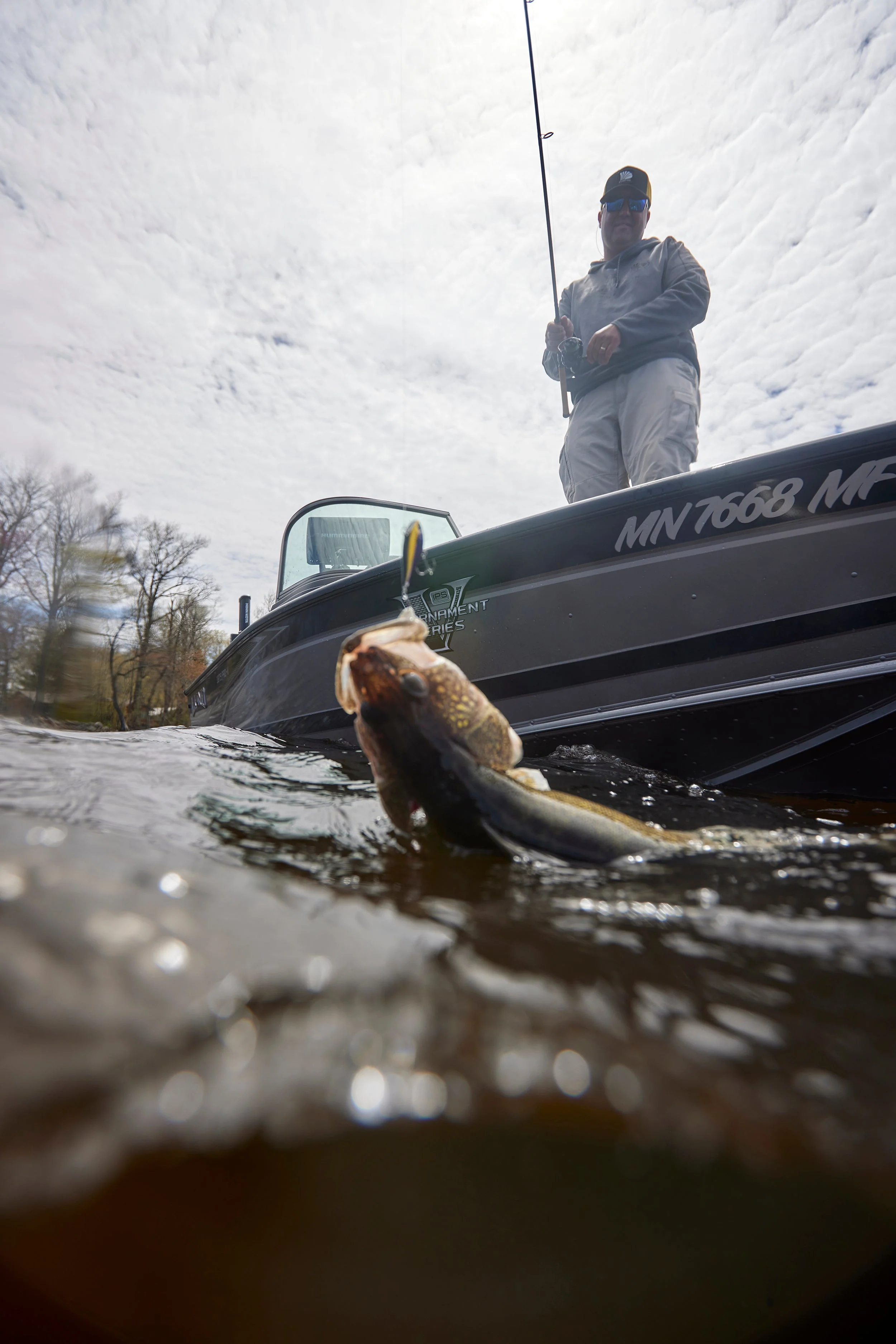 Avid Series Walleye - Image 6