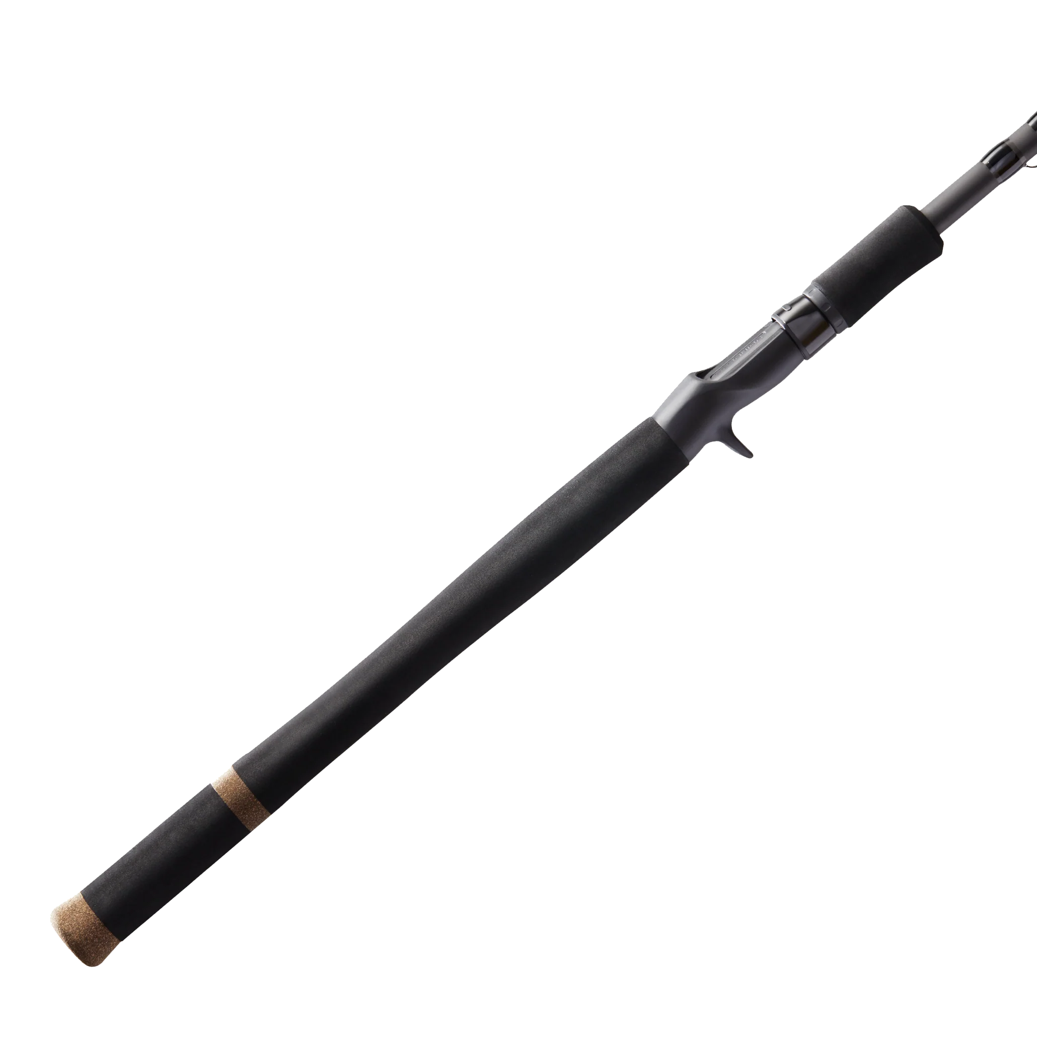 Bass X - Image 3