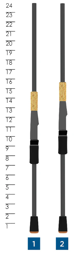 Bass X - Image 6