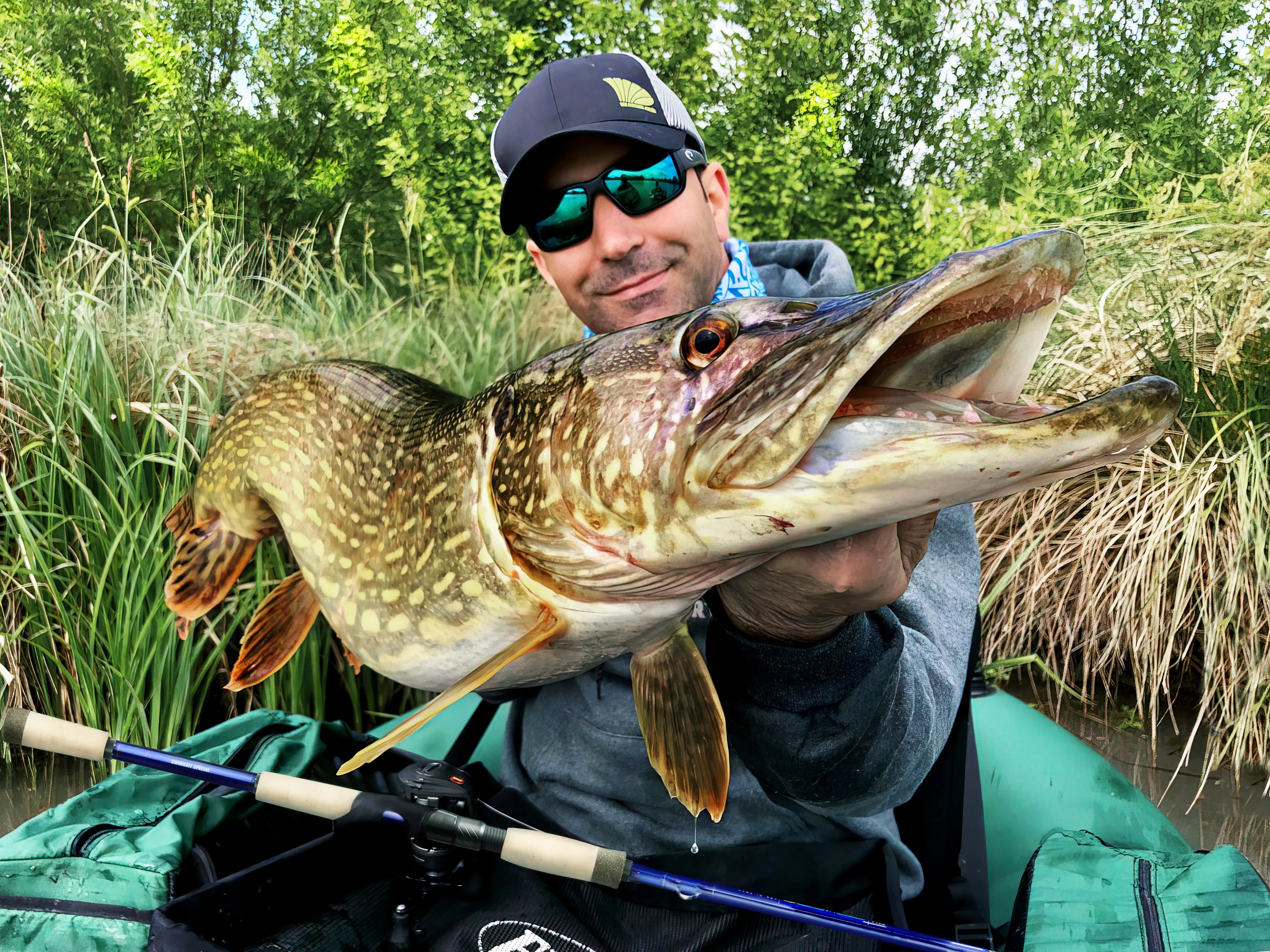 Legend Tournament Pike - Image 3