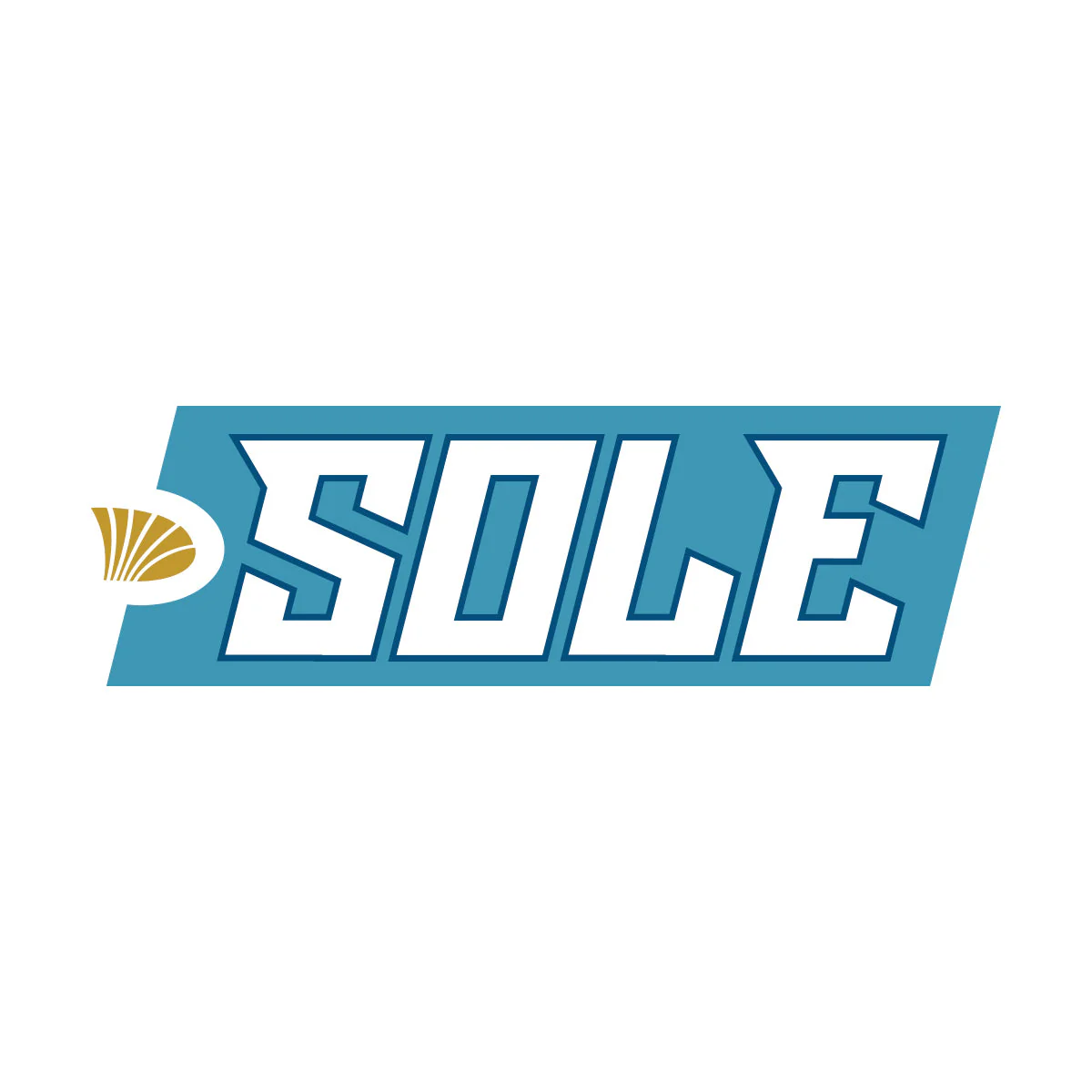 Sole Saltwater - Image 4